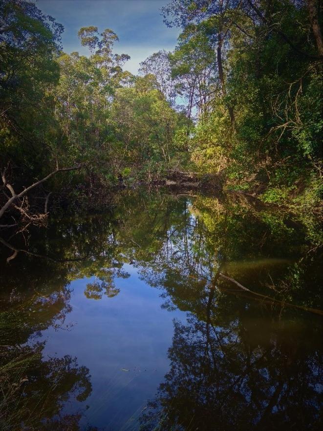 Bird Songs Getaway Accommodation Cabbage Tree Creek Экстерьер фото