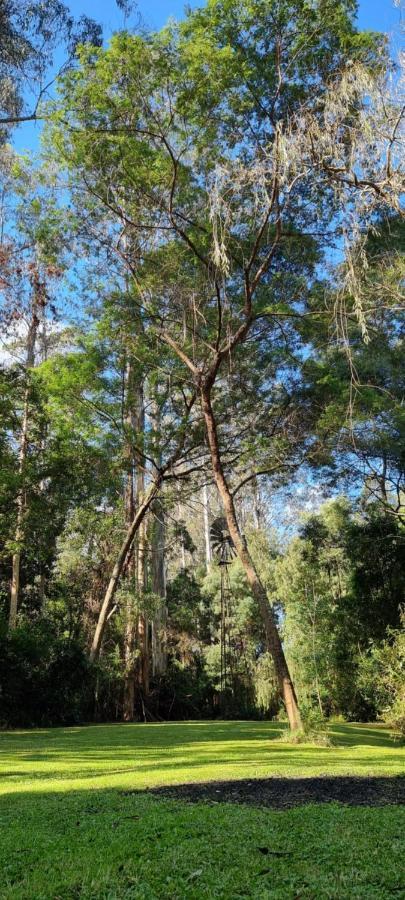 Bird Songs Getaway Accommodation Cabbage Tree Creek Экстерьер фото